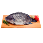 tilapia-inteira-fresca-kg