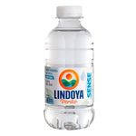 agua-sem-gas-verao-sense-lindoya-240ml
