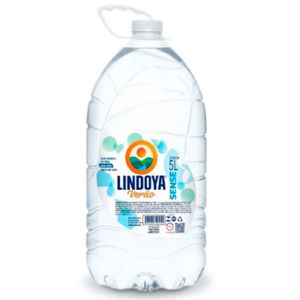 Água Mineral sem Gás Verão Sense Lindoya 5L