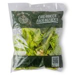 salada-crespa-organica-rio-una