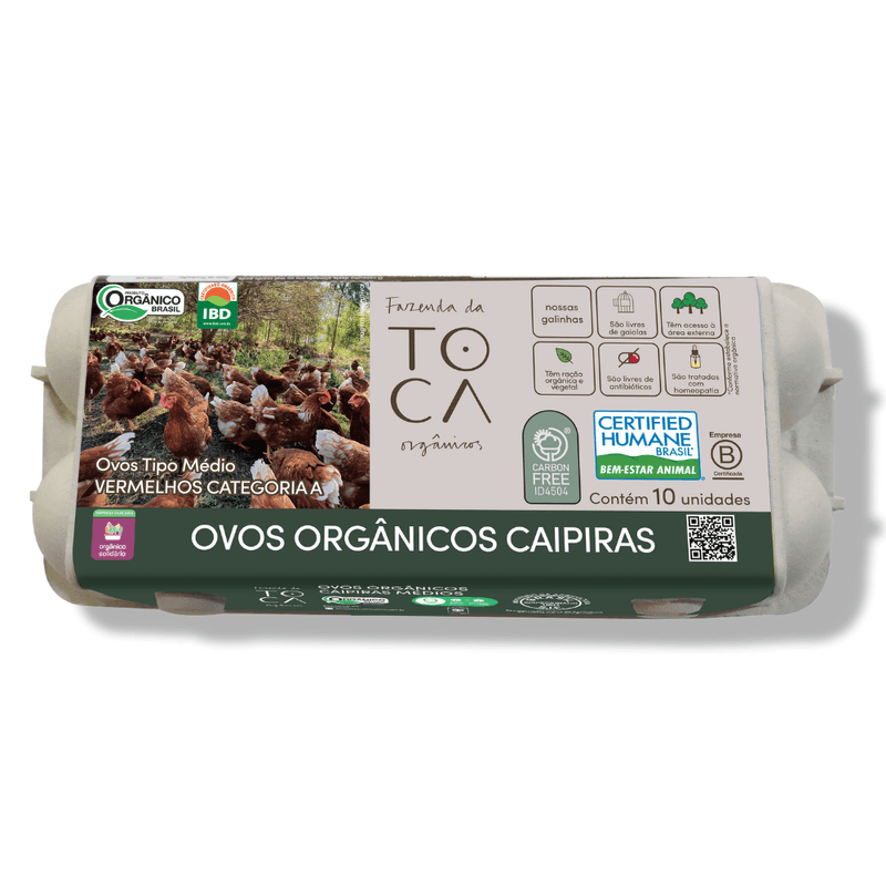 OVO-CAIP.-TOCA-OVO-MEDIO--002-