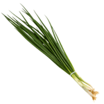 Cebolinha-Hidroponica-Balestrim-unidade