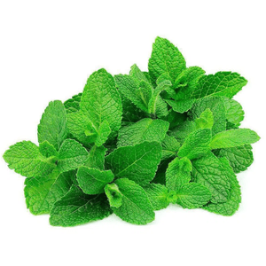 Hortelã Gourmet Salada Fresca
