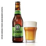 Cerveja-Nacional-Pale-Ale-Eisenbahn-Long-Neck-355ml