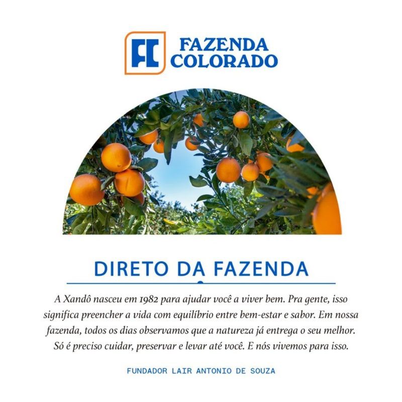 Suco-de-Laranja-Natural-Xando-Garrafa-900ml