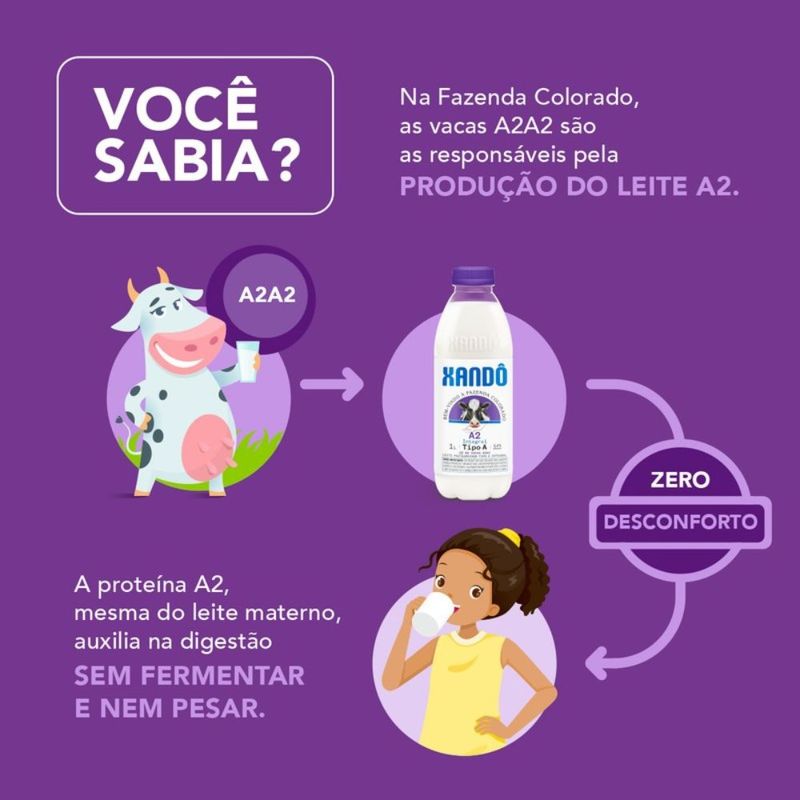leite-integral-a2-xando-1l