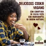 274334-choco-cookies-com-castanhas-brasilieras-mae-terra-80g--7-