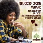 274340-choco-cookies-sabor-morango-mae-terra-80g--7-