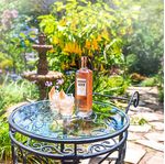 7312040217519---Absolut-Elyx-750ml---2.jpg