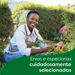 259750-caldo-knorr-zero-sal-galinha-48g-6-cubos--7-