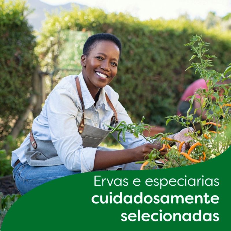 259750-caldo-knorr-zero-sal-galinha-48g-6-cubos--7-