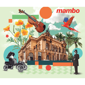 Sacola Retornável Teatro Municipal Mambo 35X40X18cm