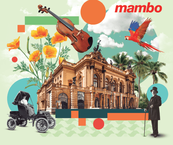 278772-Sacola-Retornavel-Mambo-35X40X18Cm-Teatro-Municip