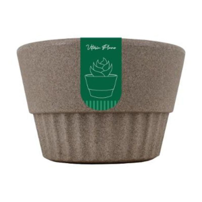 279521-Cachepot-Cimento-Vitoria-Plano-Verdy-15x12cm