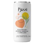 279601-Agua-Saborizada-Com-Gas-Pessego-Maracuja-e-Capim-Limao-Bizzi-269ml