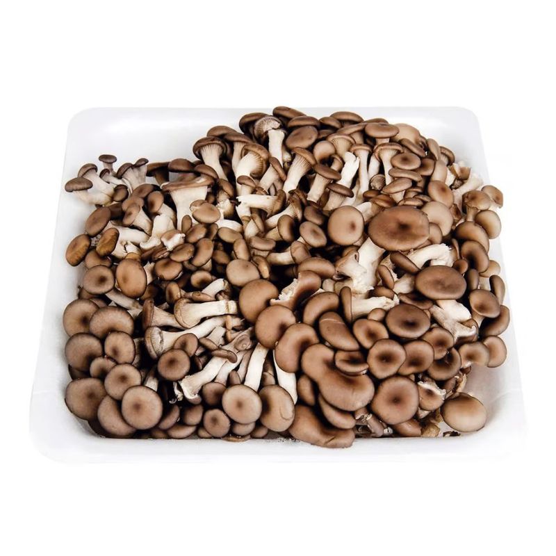 279879-Cogumelo-Shimeji-Preto-Pink-Farms-200g