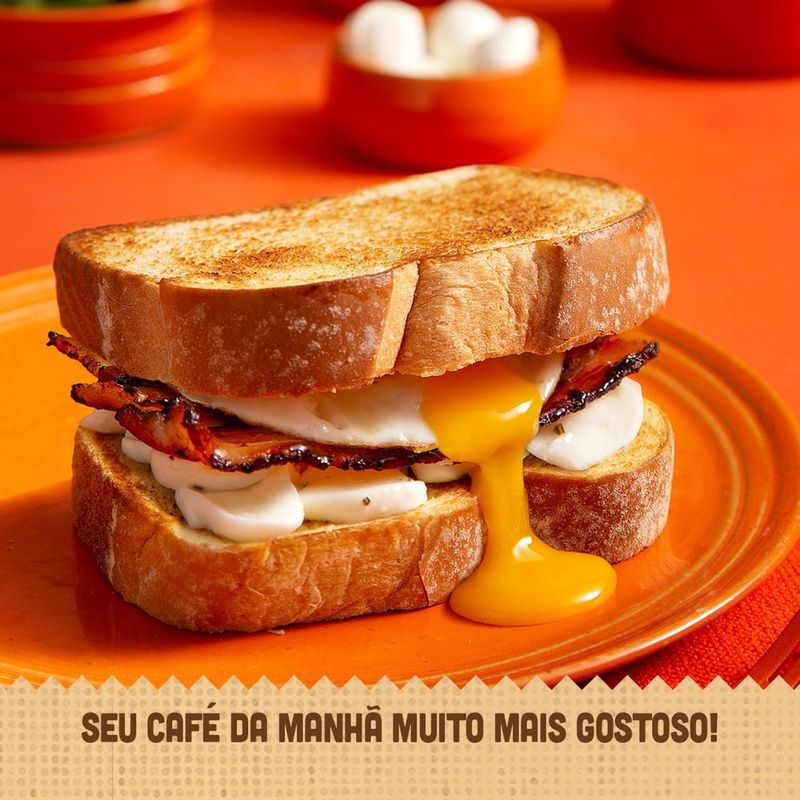 11430Pao-de-Forma-Artesano-Pullman-500g2