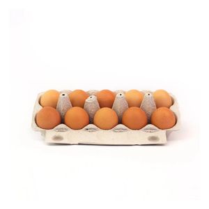 Ovos Vermelhos Orgânicos Asa com 10 Unidades