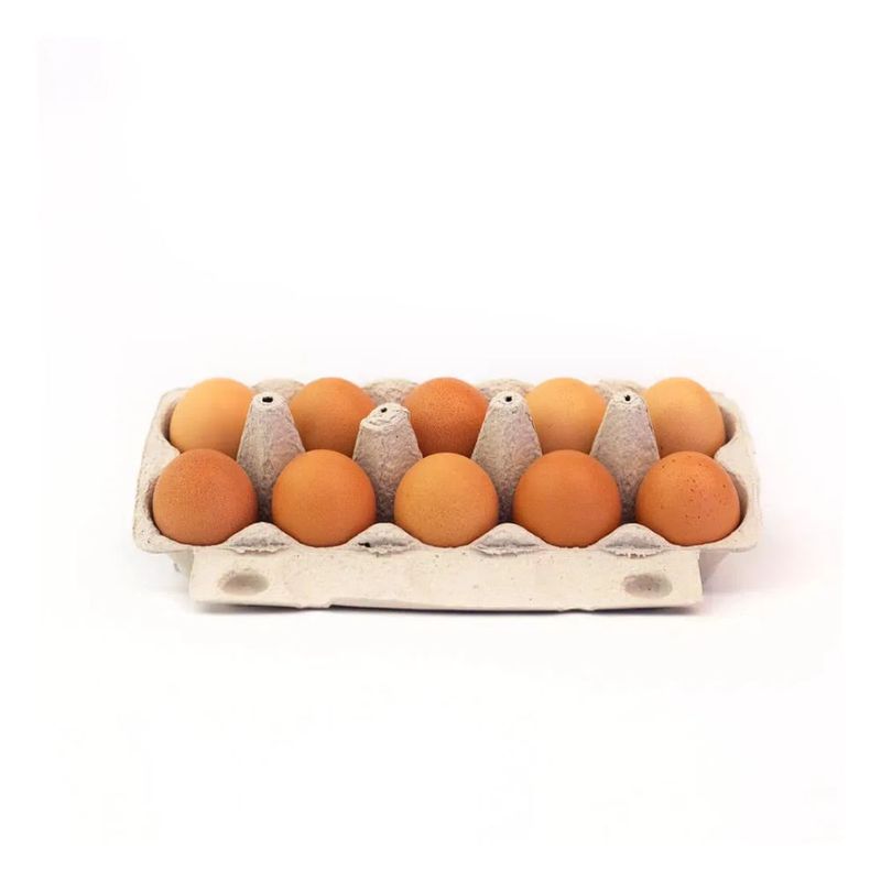 270424-Ovos-Organicos-Vermelhos-Asa-10-Unidades
