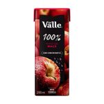 265350-Suco-de-Maca-Del-Valle-200ml