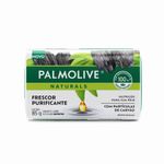 7509546659107-Sabonete-em-Barra-Palmolive-Naturals-Sensacao-Purificante-85g