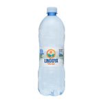 280605-Agua-Mineral-sem-Gas-Lindoya-Verao-900ml