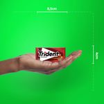 166562-Chiclete-Canela-Sem-Acucar-Trident-8g-4