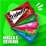 166562-Chiclete-Canela-Sem-Acucar-Trident-8g-5