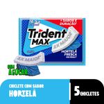 273246-Chiclete-Max-Hortela-Fresca-Sem-Acucar-Trident-16g-2