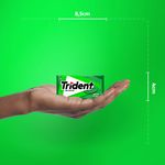 166563-Chiclete-Menta-Sem-Acucar-Trident-8g-4