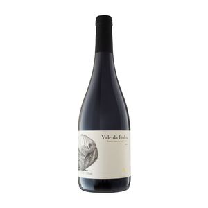 Vinho Tinto Syrah Vale da Pedra Guaspari 750ml