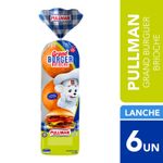259066Pao-de-Hamburguer-Brioche-Pullman-520g02