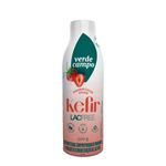 281597-Iogurte-de-Morango-Kefir-Lacfree-Verde-Campo-500g