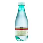 7896062801203-Agua-Mineral-Natural-com-Gas-Sao-Lourenco-Garrafa-300ml--1-