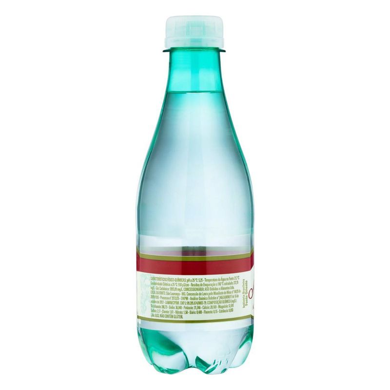 7896062801203-Agua-Mineral-Natural-com-Gas-Sao-Lourenco-Garrafa-300ml--1-