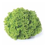 281806-Alface-Crespa-Organica-Horta-e-Arte-150g