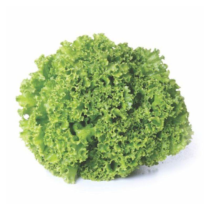 281806-Alface-Crespa-Organica-Horta-e-Arte-150g