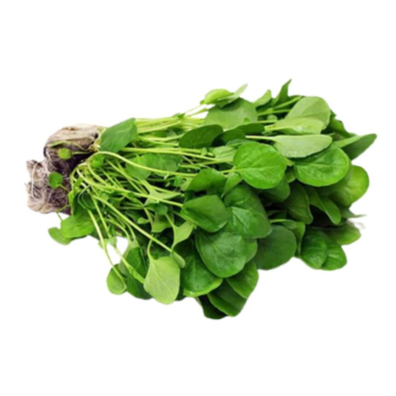 281803-Agriao-Organico-Horta-e-Arte-150g