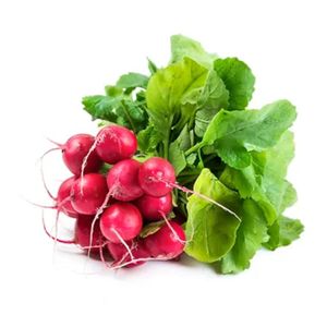 Rabanete Orgânico Horta e Arte 300g