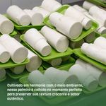 136725-Coracao-de-Palmito-Pupunha-Palmito-da-Fazenda-600g--1-