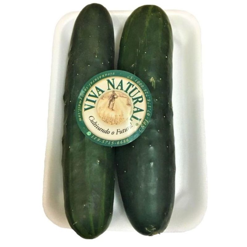 156898-Pepino-Comum-Viva-Natural-500g