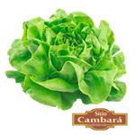 272777-Agriao-Organico-Sitio-Cambara