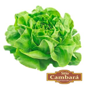 Agrião Orgânico Sítio Cambará