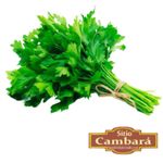 272819-Salsa-Organica-Sitio-Cambara