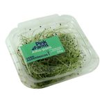278320-Alho-Poro-Microverdes-Pink-Farms-25g