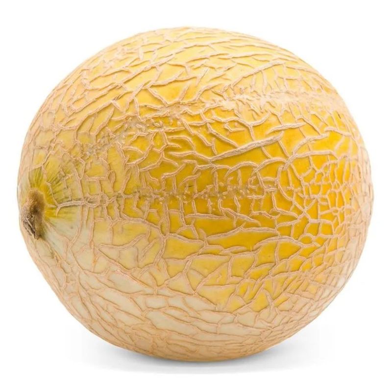 _--6-