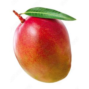 Manga Rosa Kg
