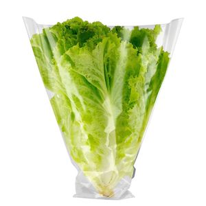 Alface Crespa Higienizada Watanabe 150g