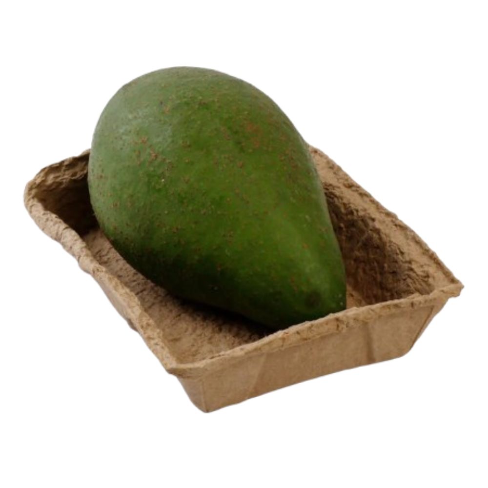 Abacate Orgânico Colitti 600g