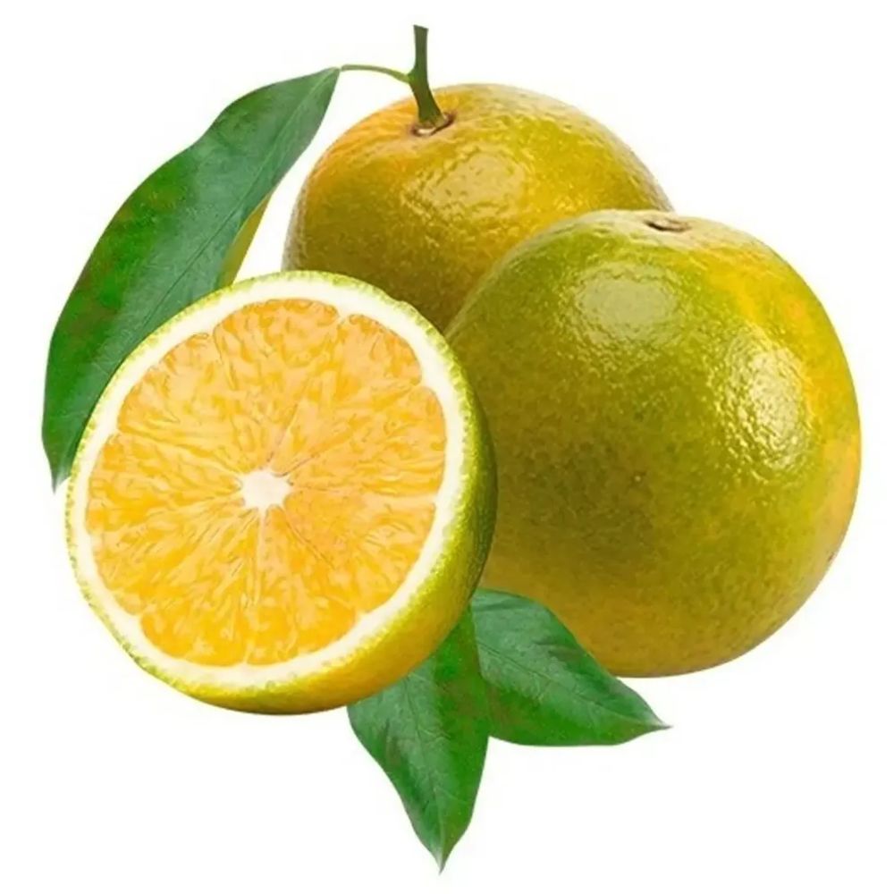 Laranja Pêra Kg |Mambo Supermercado São Paulo - Mambo Supermercado São ...